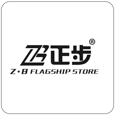 正步/ZB電動(dòng)車(chē)圖片