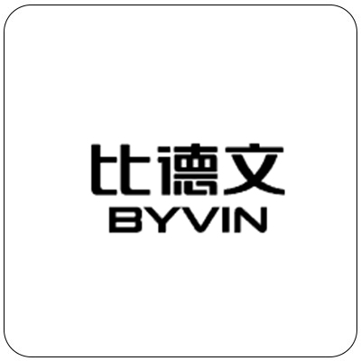 比德文/BYVIN電動(dòng)車(chē)圖片